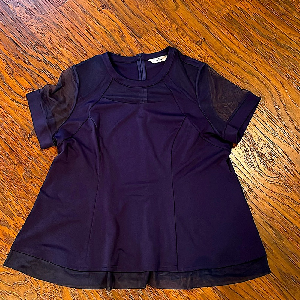 Gorgeous Formal Top with Special Detailing (LNWOT)(106)
